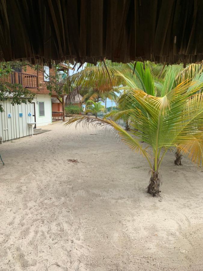 Heavens Gate Beach Bungalows Villa Placencia ภายนอก รูปภาพ